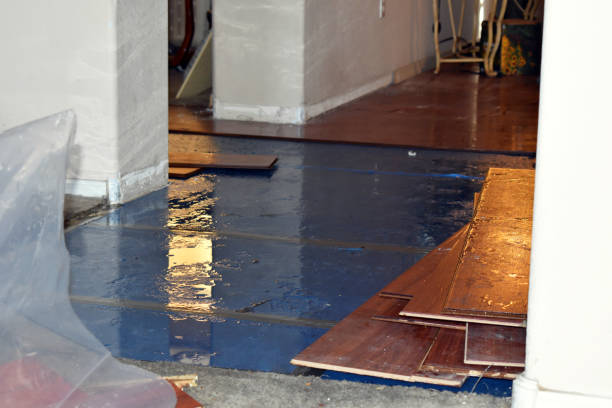 Professional Flood Cleanup technician working in Frederic, MI